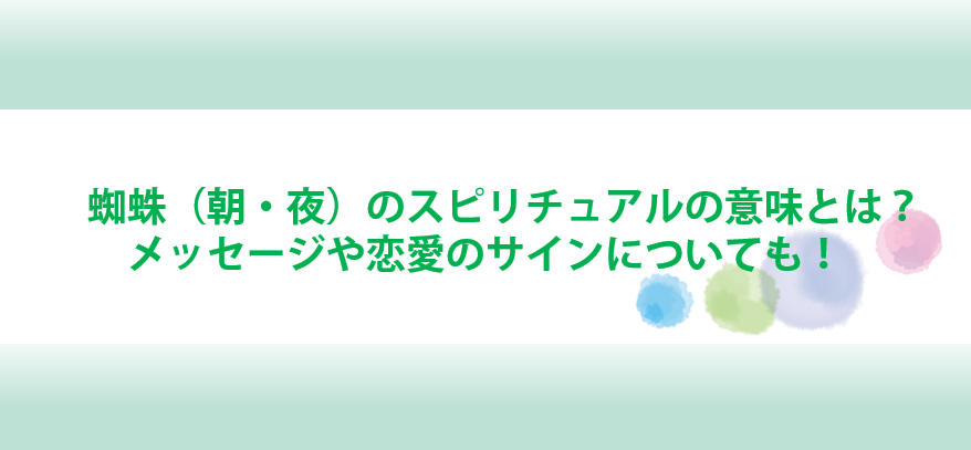 蜘蛛の朝と夜のスピリチュアルメッセージ